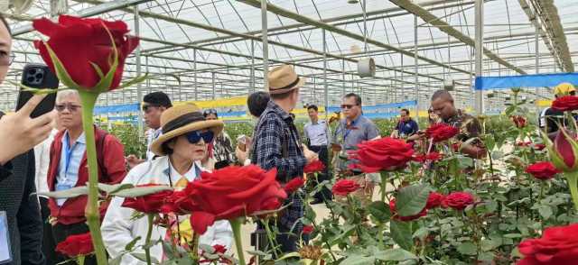 一次跨国界的云南晋宁考察 一次跨国界的云南晋宁考察