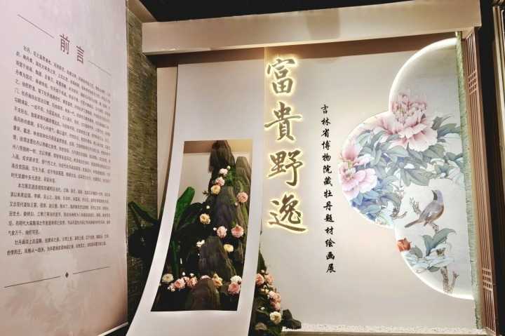 春日必打卡！吉林省博物院牡丹题材绘画展开展，邀您共赴“牡丹之约”